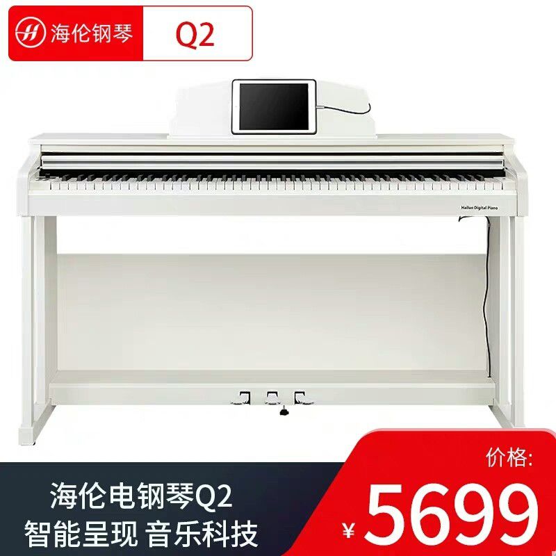 海伦（HAI LUN） 海伦电钢琴数码智能钢琴启航系列Q2 88键初学立式钢琴 黑色