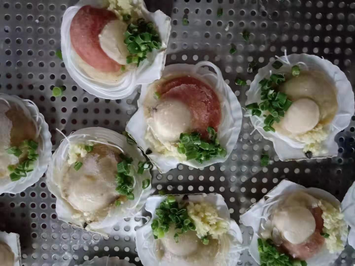 鲜活冷冻半壳元贝