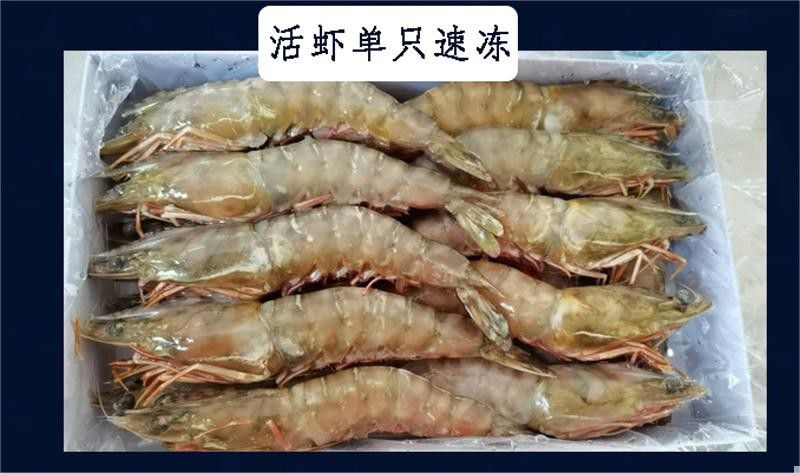 500g/盒*2      冰鲜野生大虾8-10